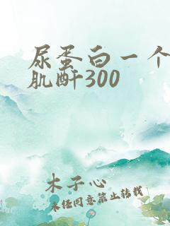 尿蛋白一个+号肌酐300