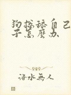 狗总舔自己的爪子怎么办