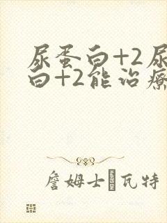 尿蛋白+2尿蛋白+2能治疗吗