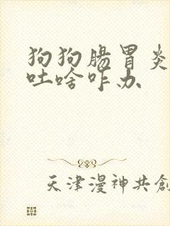 狗狗肠胃炎吃啥吐啥咋办