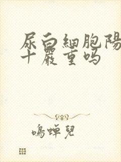 尿白细胞阳性2十严重吗