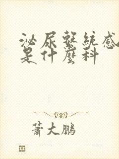 泌尿系统感染是是什么科