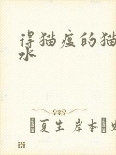 得猫瘟的猫流口水