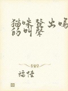 猫咪发出呜哇哦的叫声