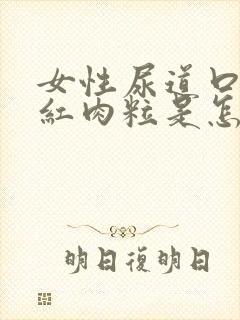 女性尿道口起小红肉粒是怎么回事