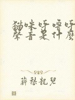 猫咪呼噜呼噜的声音是什么意思啊