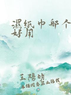 湿纸巾哪个牌子好用