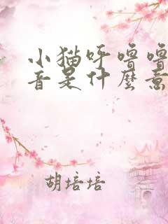 小猫呼噜噜的声音是什么意思