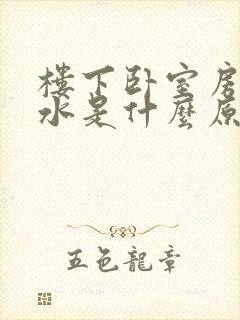 楼下卧室房顶渗水是什么原因