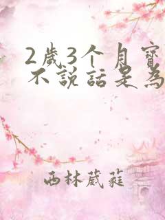 2岁3个月宝宝不说话是为什么