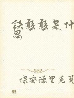 铁憨憨是什么意思