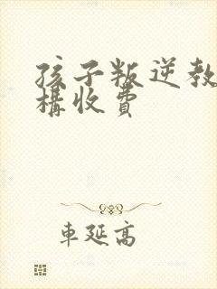 孩子叛逆教育机构收费