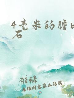 4毫米的胆内结石