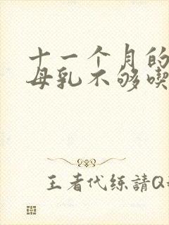 十一个月的宝宝母乳不够吃怎么办