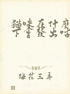 猫咪在什么情况下会发出咕噜的声音