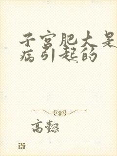 子宫肥大是什么病引起的