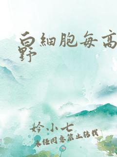 白细胞每高倍视野