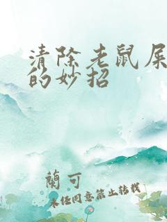 清除老鼠屎尿味的妙招