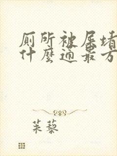 厕所被屎堵了用什么通最方便最快