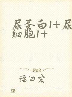 尿蛋白1+尿白细胞1+