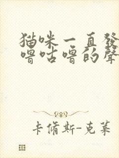 猫咪一直发出咕噜咕噜的声音