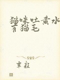 猫咪吐黄水里面有猫毛