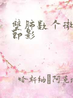 双肺数个微小结节影