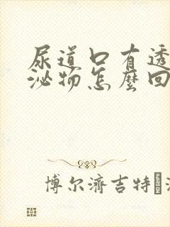 尿道口有透明分泌物怎么回事