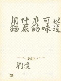 用什么可以祛除猫尿的味道