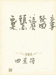 龟头流发炎流脓是怎么回事