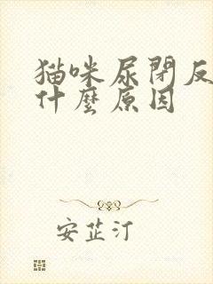 猫咪尿闭反复是什么原因