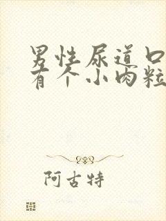 男性尿道口边上有个小肉粒