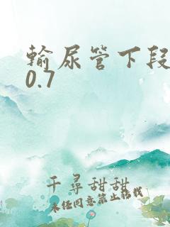 输尿管下段结石0.7