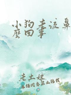 小狗老流鼻涕怎么回事