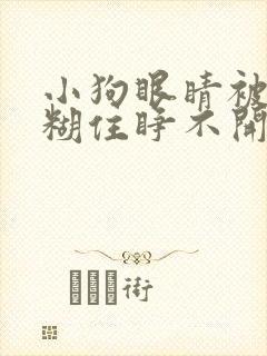 小狗眼睛被眼屎糊住睁不开怎么办