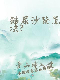 猫尿沙发怎么解决?