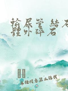 输尿管 结石 体外碎石