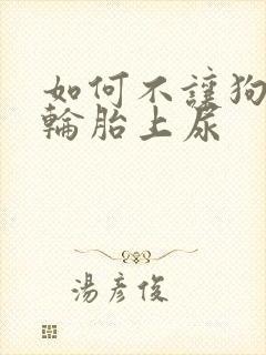 如何不让狗在车轮胎上尿