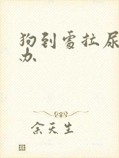 狗到处拉尿怎么办