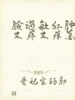 脸过敏红肿发烧又疼又痒怎么办