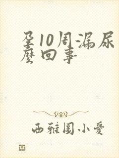 孕10周漏尿怎么回事