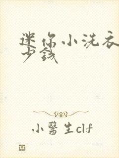 迷你小洗衣机多少钱