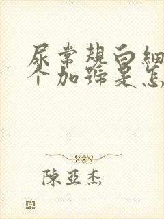 尿常规白细胞一个加号是怎么回事