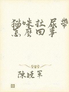 猫咪拉尿带血是怎么回事