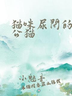 猫咪尿闭的症状公猫