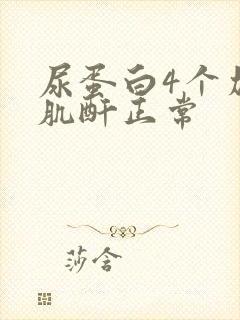 尿蛋白4个加号肌酐正常