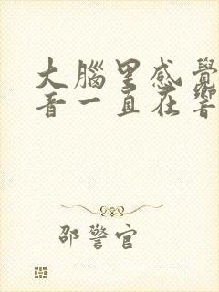 大脑里感觉有声音一直在响