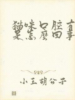 猫咪口腔有粘液是怎么回事