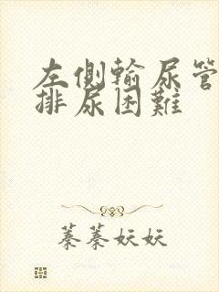 左侧输尿管结石排尿困难