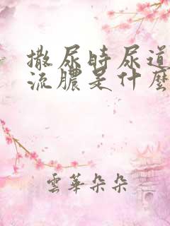 撒尿时尿道刺痛流脓是什么原因